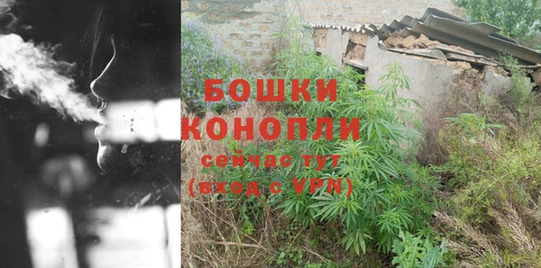 трава Богданович