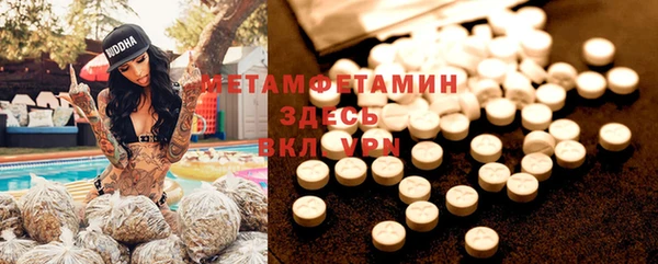 прущие грибы Сосновоборск
