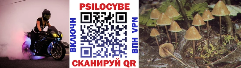 Галлюциногенные грибы GOLDEN TEACHER Сосногорск
